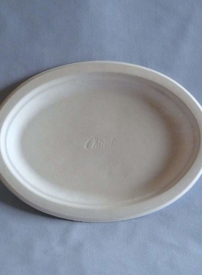 Chinet Premium 12 5/8 x 10-Inch Paper Plates, Platters, 24 ct - 2 Pack - Image 4