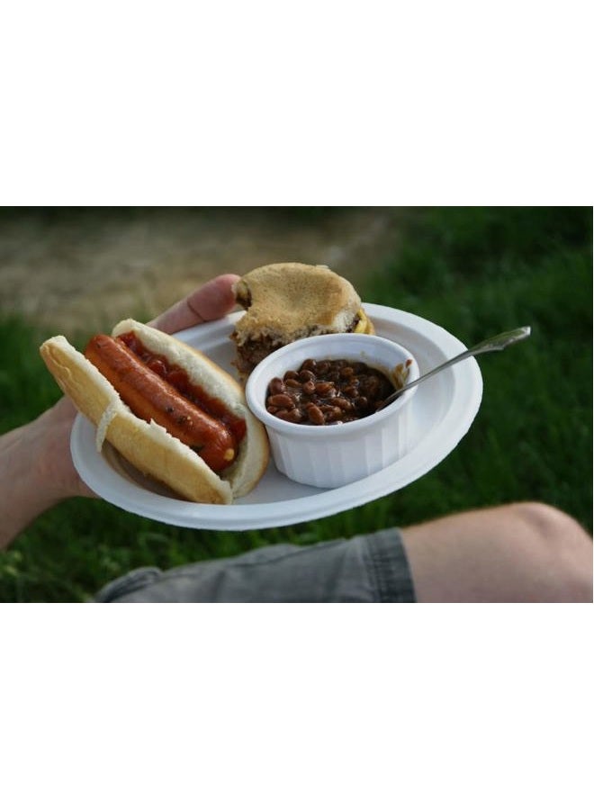 Chinet Premium 12 5/8 x 10-Inch Paper Plates, Platters, 24 ct - 2 Pack - Image 5