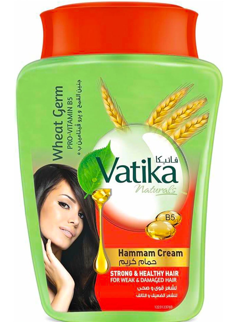 فاتيكا ناتشورالز حمام كريم جنين القمح وبروفيتامين ب5 900 جرام