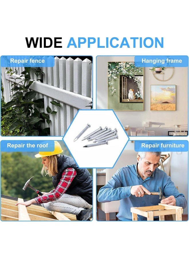 Royal Apex 50Pcs Multi-Purpose Iron Nails Set Flat Head Nails For Wood, Diy And Crafts, (2 Inch) - Image 4