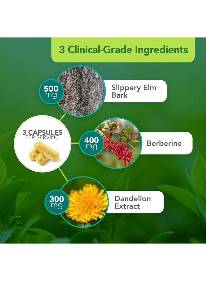 Vital Plan Gut Balance Supplement by Dr. Bill Rawls - Advanced Digestive Health Support Formula w/Clinical-Grade Slippery Elm Bark, Berberine & Dandelion Extract for Women & Men (180 Capsules) - Image 4