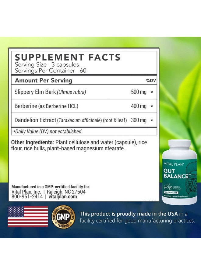 Vital Plan Gut Balance Supplement by Dr. Bill Rawls - Advanced Digestive Health Support Formula w/Clinical-Grade Slippery Elm Bark, Berberine & Dandelion Extract for Women & Men (180 Capsules) - Image 2