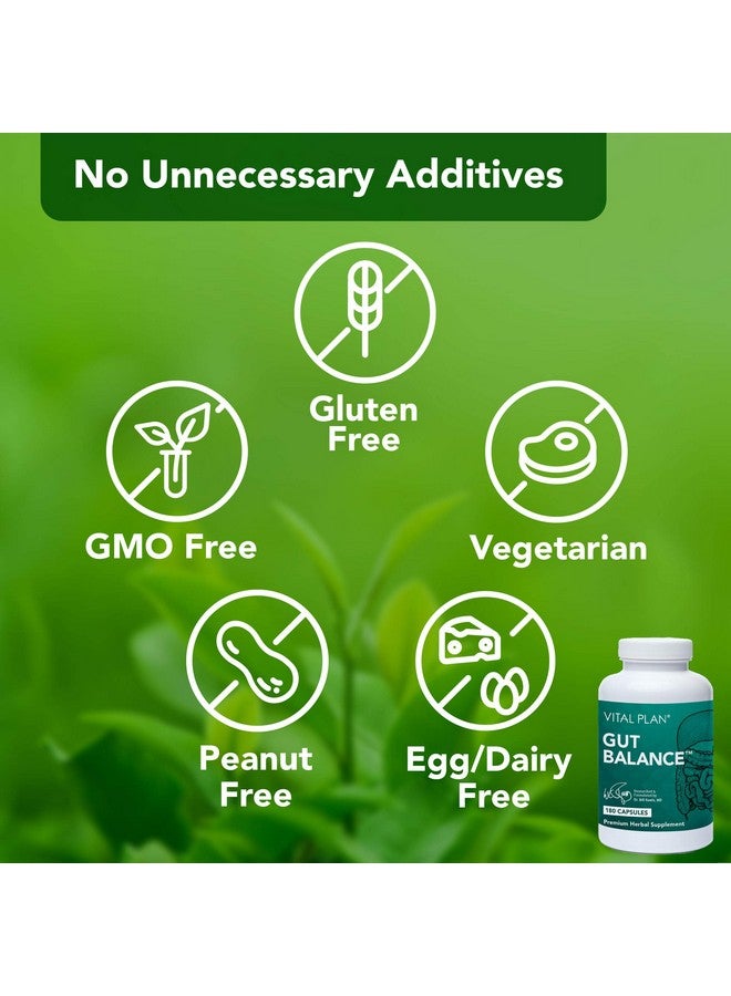 Vital Plan Gut Balance Supplement by Dr. Bill Rawls - Advanced Digestive Health Support Formula w/Clinical-Grade Slippery Elm Bark, Berberine & Dandelion Extract for Women & Men (180 Capsules) - Image 3