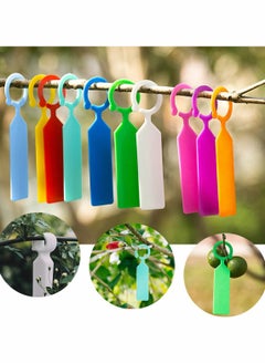 SYOSI Plastic Nursery Plant Tree Hanging Tags 100pcs Mixed Color Waterproof Garden Labels with Buckle Ring Tag Hanging Plant Labels Plastic Plant Hook and Tree Tags  - Image 2