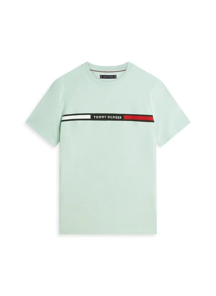 Tommy Hilfiger Crushed Mint Logo Embroidery Insert Jersey T-Shirt for Men | Best Price UAE