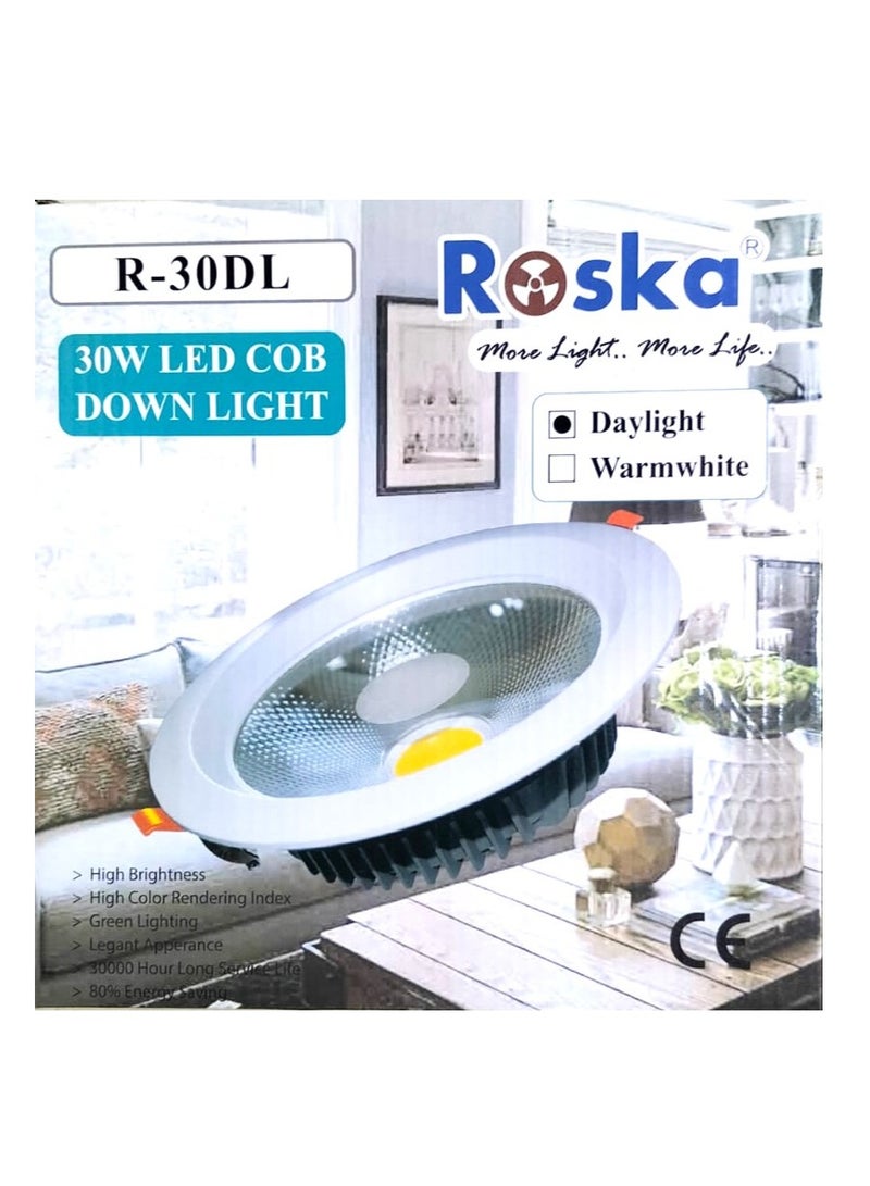 Roska COB DOWNLIGHT 30W-ROSKA - Image 1