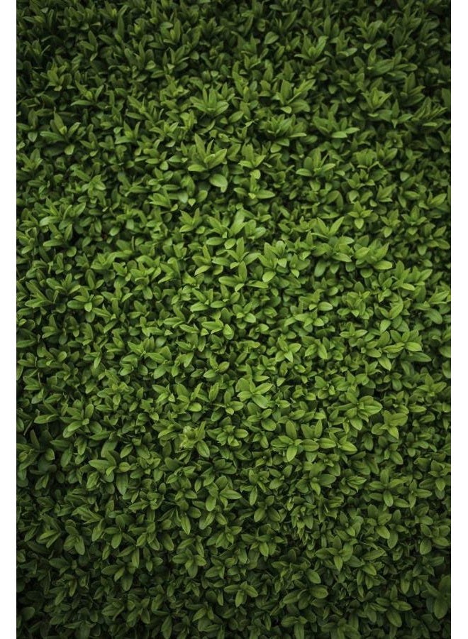 Laeacco 5x7FT Green Grass Design Nature Outdoorsy Vigour Backdrops Lawn Pattern Vinyl Backdrop 3D Effect Spring Summer Kids Birthday Photography Background Newborn Baby Children Photo Studio Props - Image 1