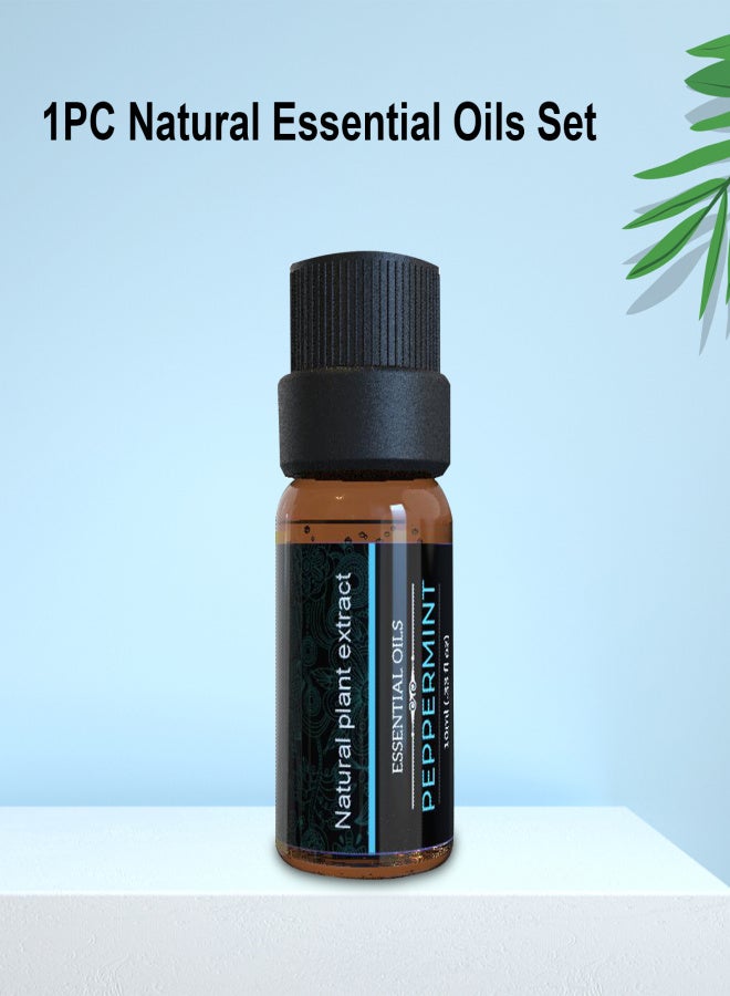 1PC Natural Essential Oils Set Water-soluble Aroma Essential Aromatherapy Oil for Oil Diffuser Humidifier - Image 4