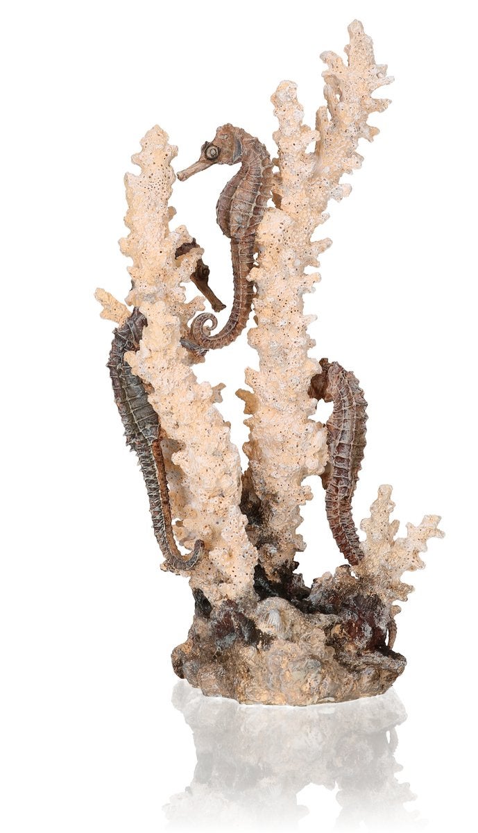 biOrb Medium Seahorse Sculpture, Ceramic Resin Centerpiece for Freshwater and Marine Aquariums, Beige/Tan - Image 3