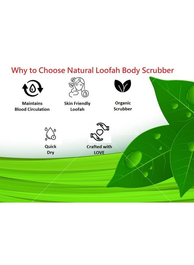 SSKR Natural Organic Body Scrub Loofah Sponge for Bathing - Pack of 5 | Size : 15 Cms Long - Image 5