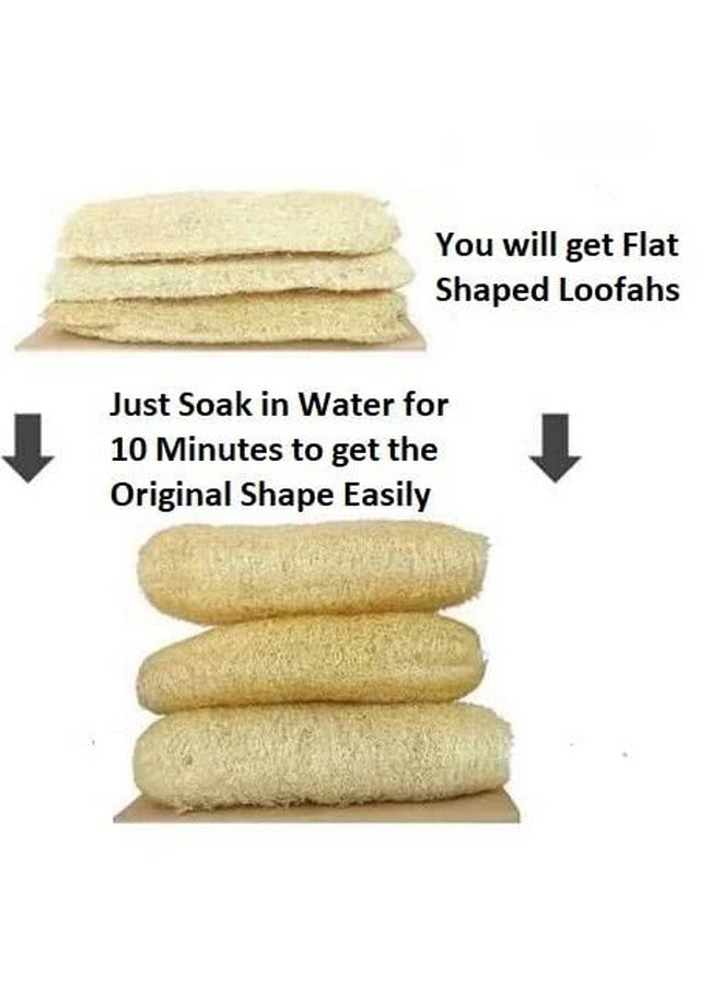 SSKR Natural Organic Body Scrub Loofah Sponge for Bathing - Pack of 5 | Size : 15 Cms Long - Image 3