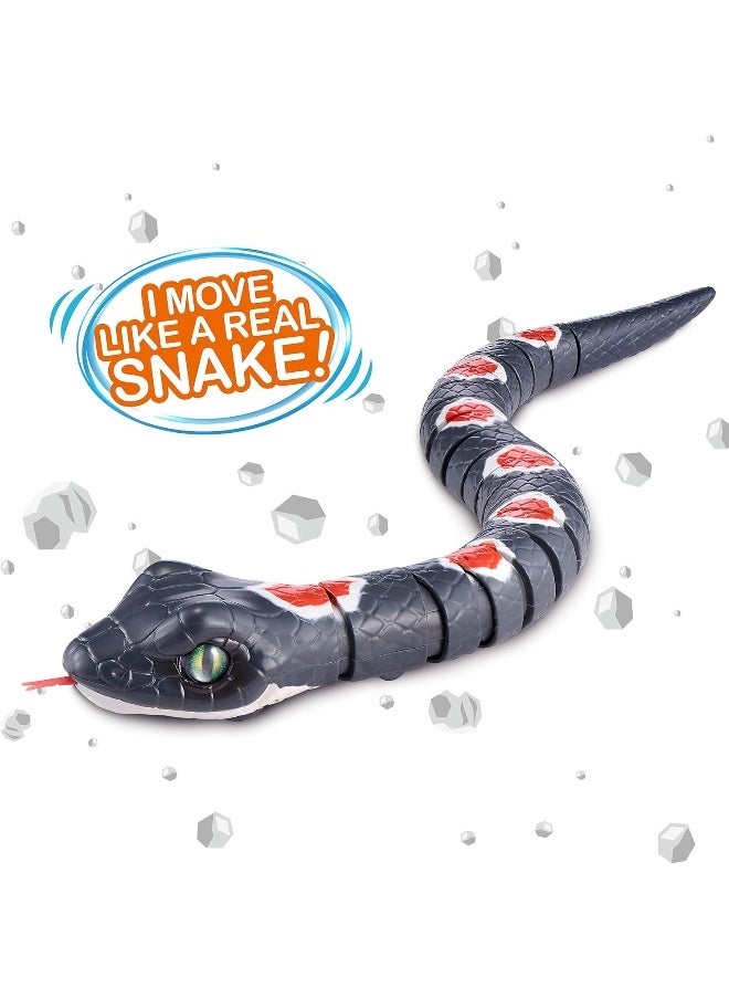 ROBO ALIVE - Robo Alive Slithering Snake Series 2 Grey by ZURU Battery-Powered Robotic Light Up Reptile Toy That Moves - Image 1