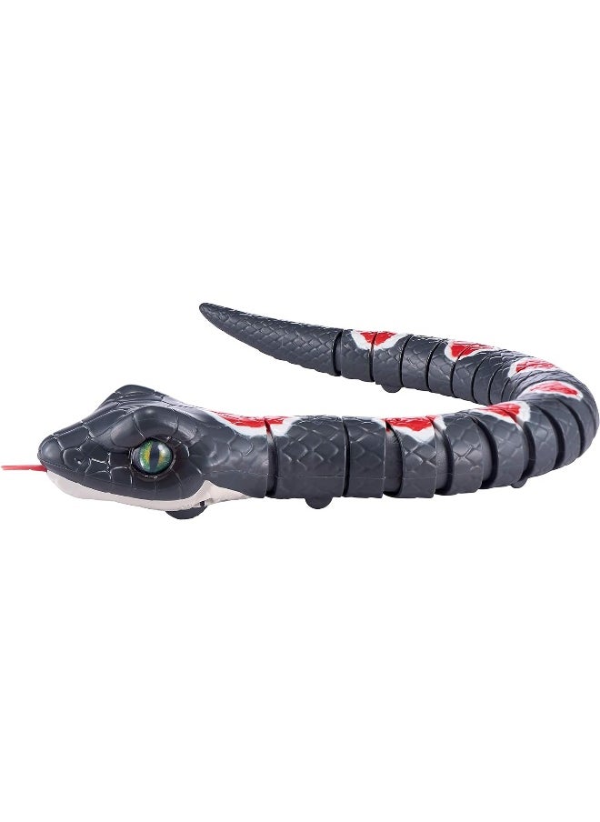 ROBO ALIVE - Robo Alive Slithering Snake Series 2 Grey by ZURU Battery-Powered Robotic Light Up Reptile Toy That Moves - Image 1