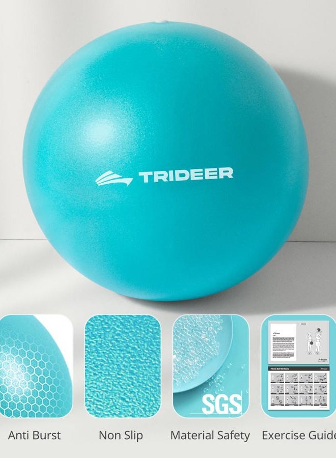 Trideer Pilates Ball 9 Inch with Pump, Core Ball, Mini Pilates Ball for Physical Therapy, Small Exercise Ball Between Knees, Small Workout Ball for Barre, Yoga, Stability, Workout, Office&Home Gym - Image 5