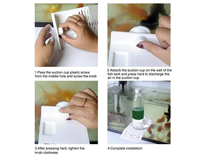 Western Era Platform Basking with Food Bowl & Suction Cup for Turtle/Reptile/Aquarium/Small Amphibians (Large Size) - Image 4