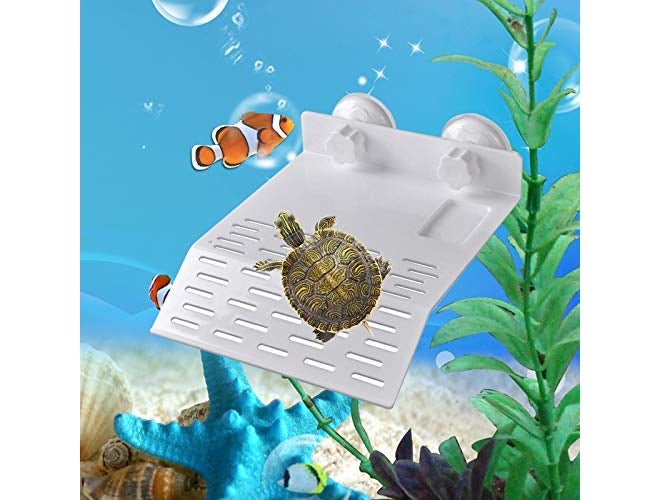 Western Era Platform Basking with Food Bowl & Suction Cup for Turtle/Reptile/Aquarium/Small Amphibians (Large Size) - Image 1