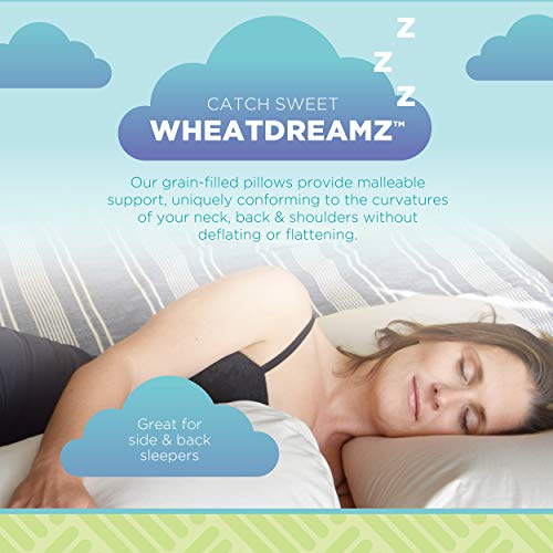 Bean Products Japanese Bed Pillow for Sleeping – Organic Buckwheat Fill with Organic Cotton Fabric, Soft Head Pillow – Eco-Friendly, Breathable, and Durable Sleep Aid, Made in The USA, 14" x 20" - Image 2