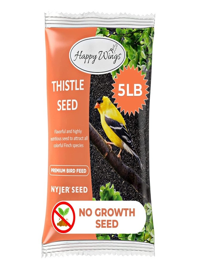 Happy Wings Nyjer/Thistle Seeds Wild Bird Food - 5 Pounds I No Grow Seed I Bird Seed for Wild Birds - Image 2