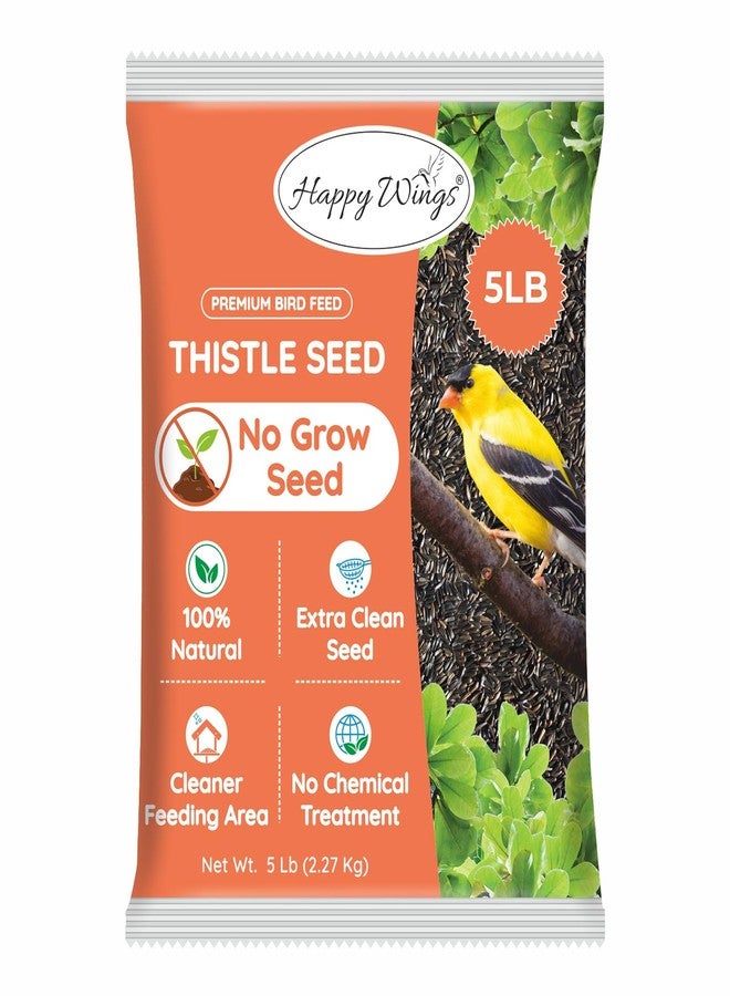 Happy Wings Nyjer/Thistle Seeds Wild Bird Food - 5 Pounds I No Grow Seed I Bird Seed for Wild Birds - Image 1