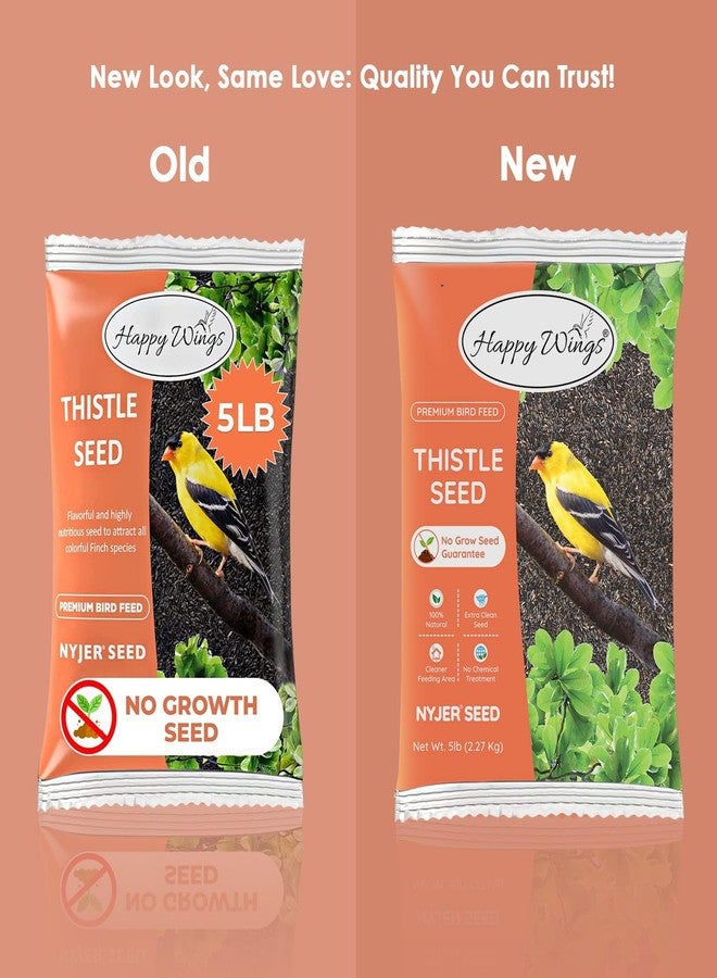 Happy Wings Nyjer/Thistle Seeds Wild Bird Food - 5 Pounds I No Grow Seed I Bird Seed for Wild Birds - Image 3