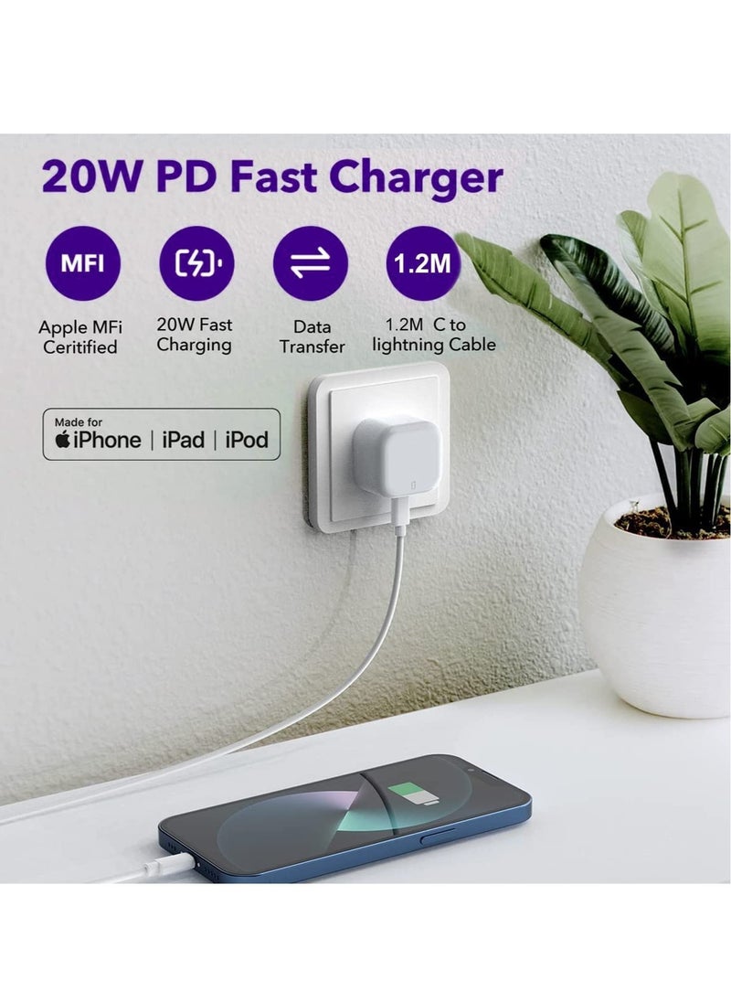 TIGER - iPhone 20W USB C Fast Charger, iPhone Fast Charger Plug, and 1M iPhone USB C Charger Cable – Compatible with iPhone 13, 12, 11 Pro Max, Mini, X, XR, XS, iPad - Image 1