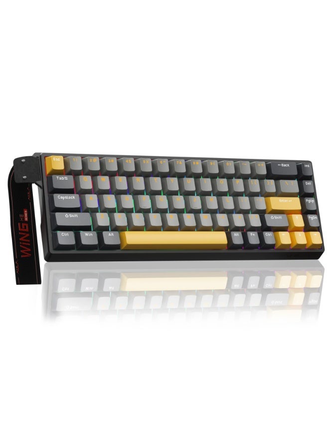 AULA WIN68 HE MAX - Hall Effect Gaming Keyboard with Magnetic Switch, Adjustable Actuation Rapid Trigger Mode, 8KHz Polling Rate, RGB Backlit Wired Mechanical Gaming Keyboard for Laptop/PC Gamer  - Image 1