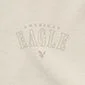 American Eagle  AE Graphic Hoodie for Men | Best Price UAE