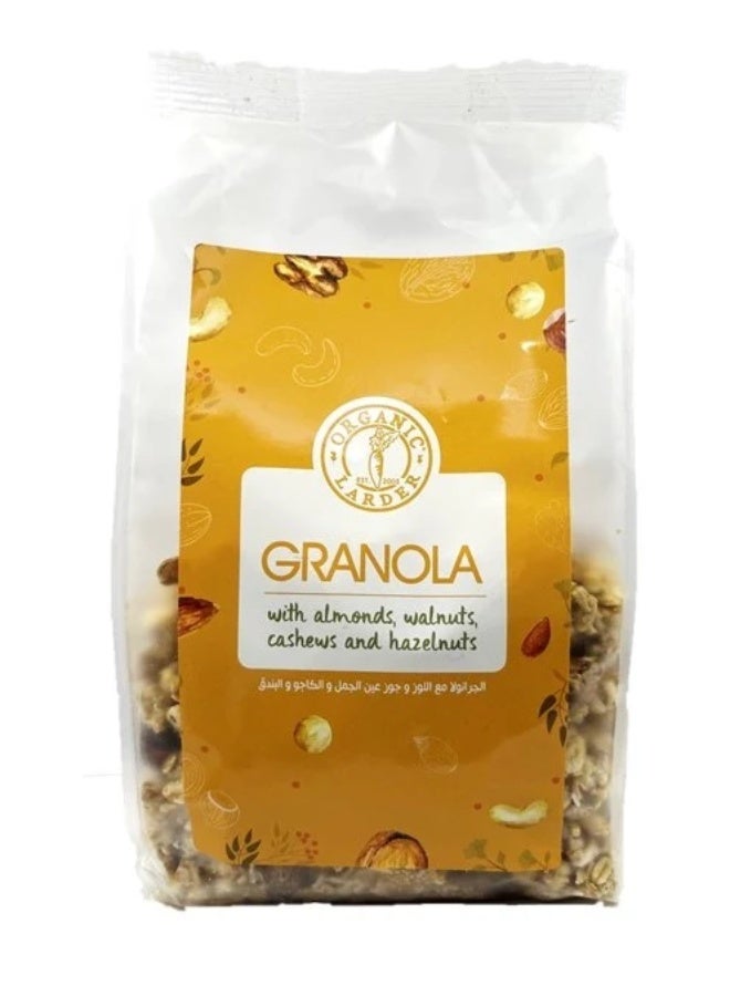 ORGANIC GRANOLA DRIED NUTS 400G