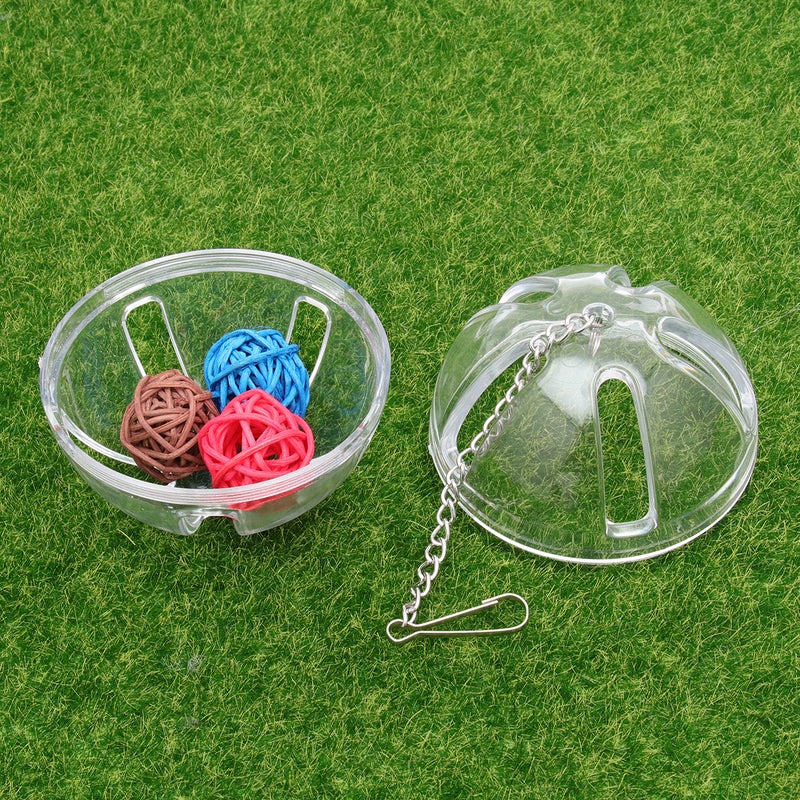 1Pc Parrot Foraging Box Portable Transparent Parrot Feeder Funny Pet Bird ( Color) - Image 4