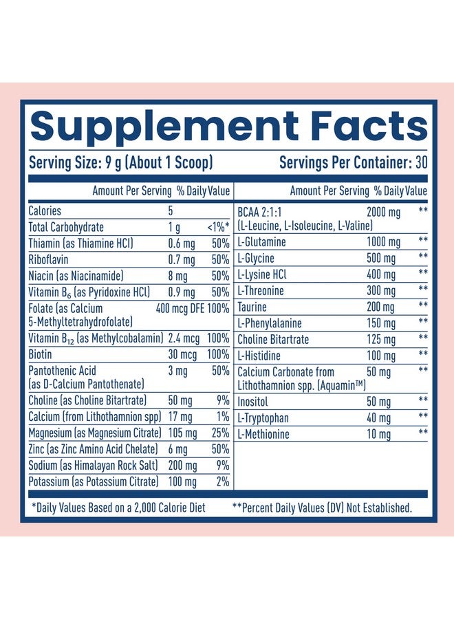 NativePath Native Hydrate, Zero Sugar, Electrolytes Powder with BCAAs, Mixed Berry Hydration Powder, Keto & Paleo Friendly, 30 Servings - Image 2