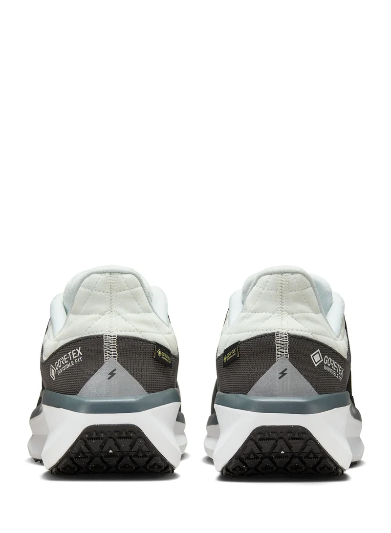 Nike Air Winflo 11 Gtx