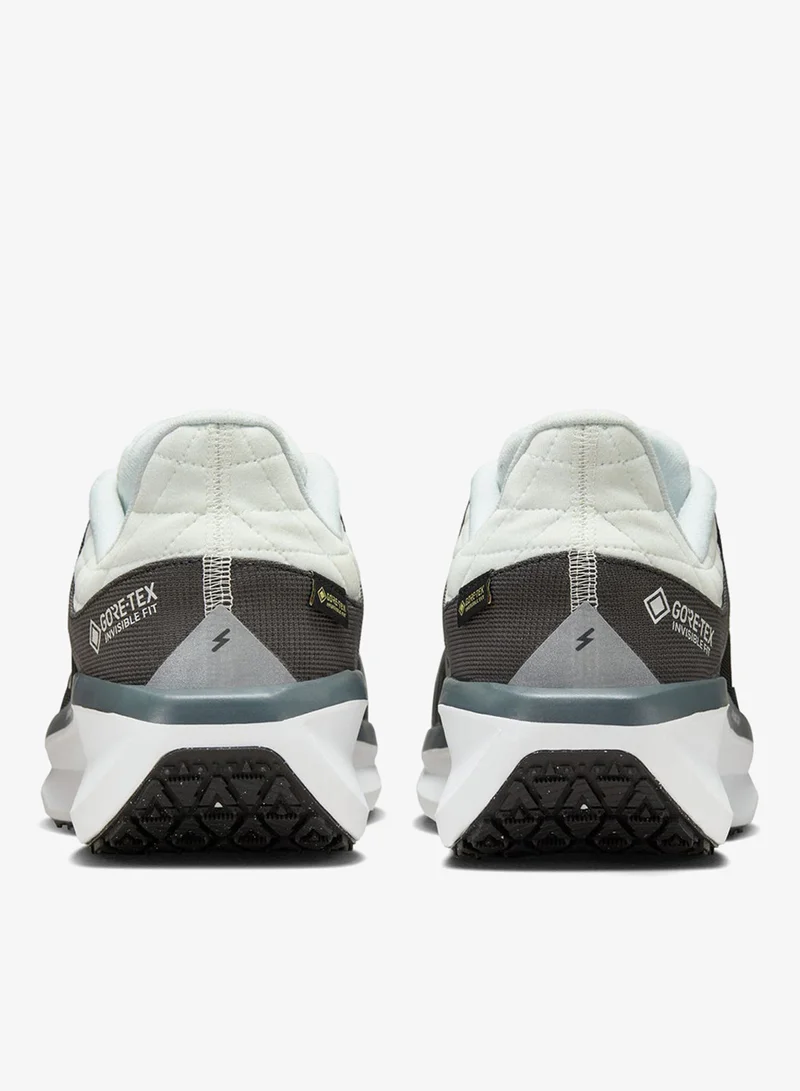 Nike Air Winflo 11 Gtx