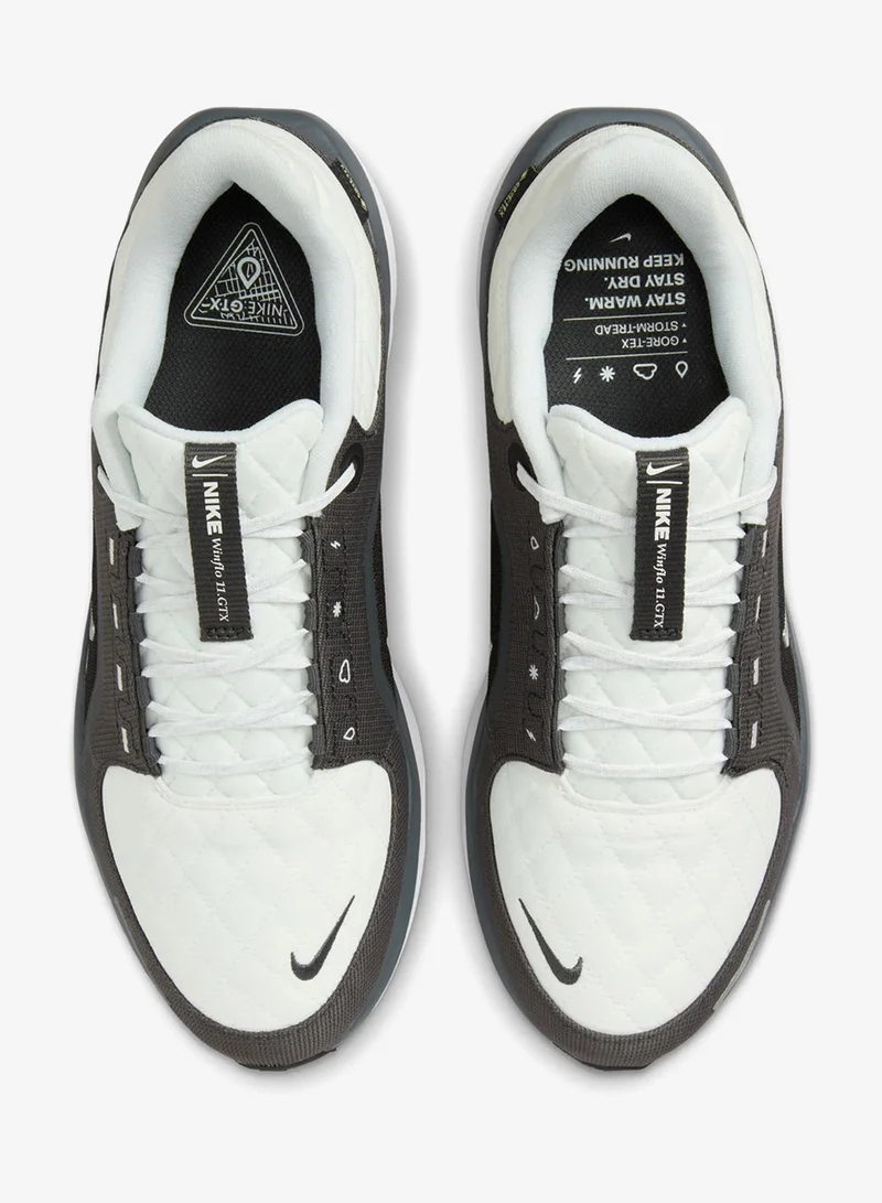 Nike Air Winflo 11 Gtx