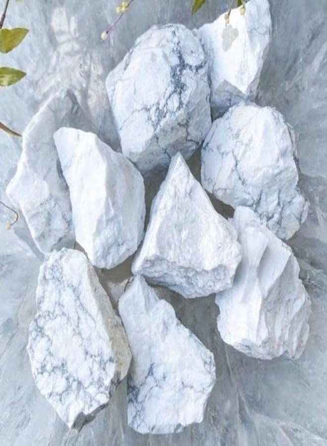 La Jarden® Limestone White Powder (200g) | Calcium Carbonate for Water Treatment & Purification | pH Balance | Mineral Supplement | Aquarium, RO, Industrial & Household Use - Image 1