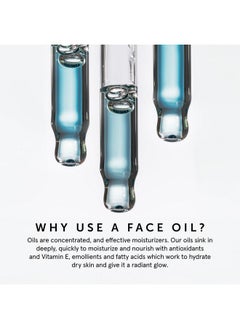 HERBIVORE HERBIVORE Lapis Blue Tansy Face Oil - Skin-Balancing Moisturizer for Oily, Acne-Prone Skin | Redness Soothing, Azulene-Rich, Plant-based, Vegan, Cruelty-free, 50 mL / 1.7 oz  - Image 5