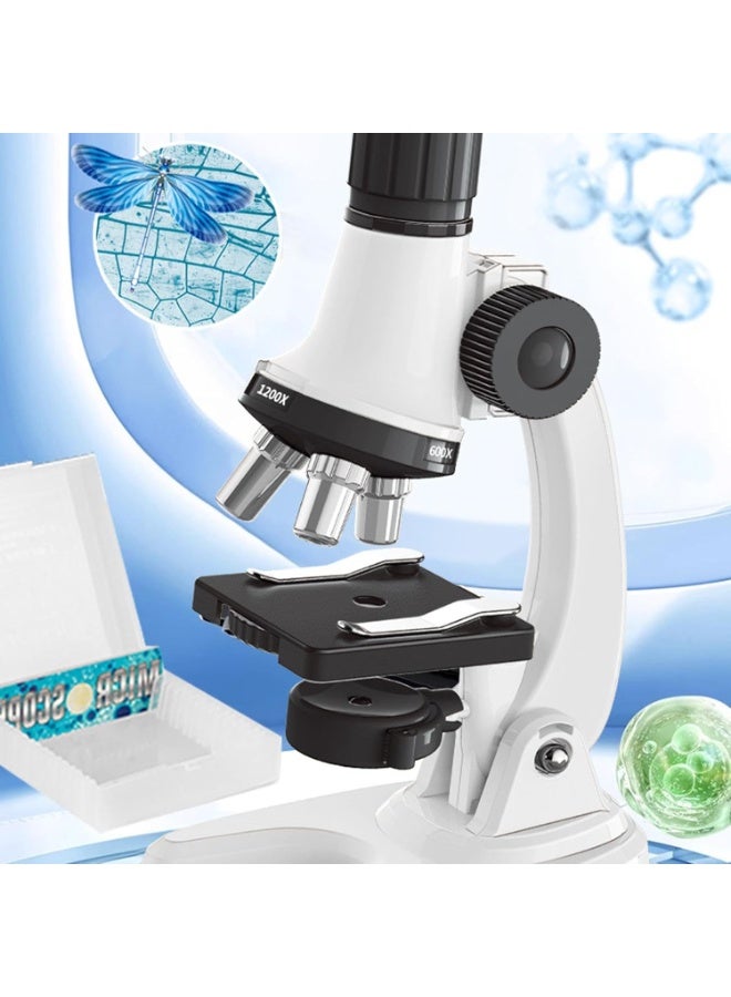 شابية مجهر ضوئي للأطفال، مجهر تعليمي للأطفال | مجموعة مجهر أحادي العين بتكبير 1200x، مجموعة مجهر علمي للأطفال المبتدئين، مجهر تعليمي للطلاب - Image 4