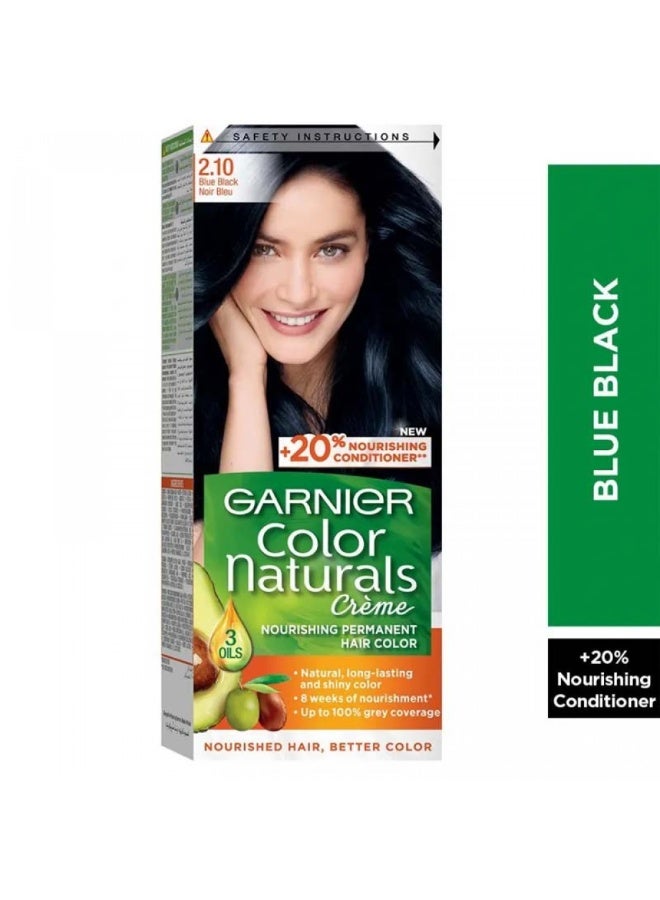 غارنييه صبغة شعر دائمة كولور ناتشرالز 2.1 أزرق مسوّد - Image 1
