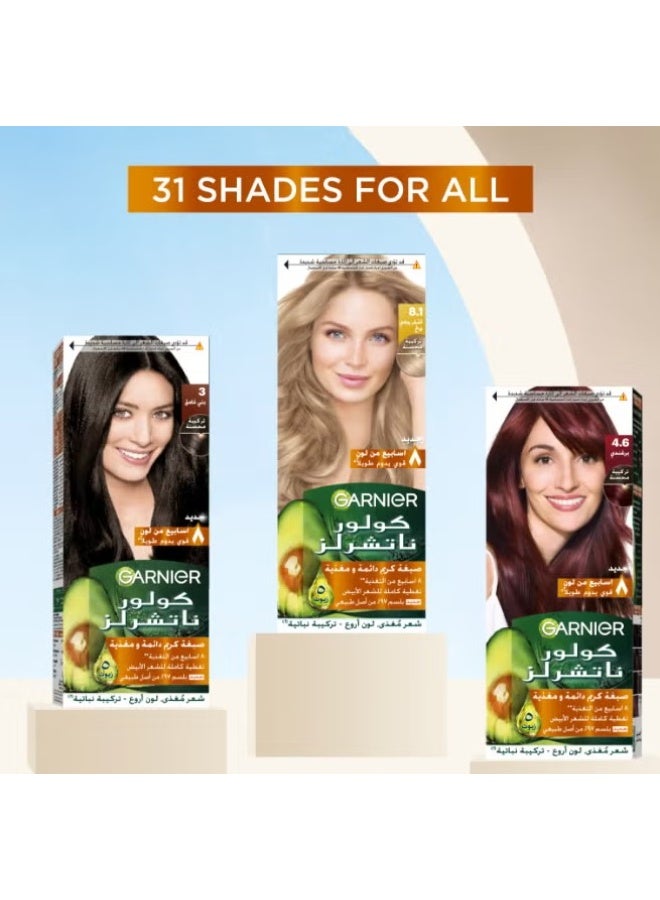 غارنييه صبغة شعر دائمة كولور ناتشرالز 2.1 أزرق مسوّد - Image 4