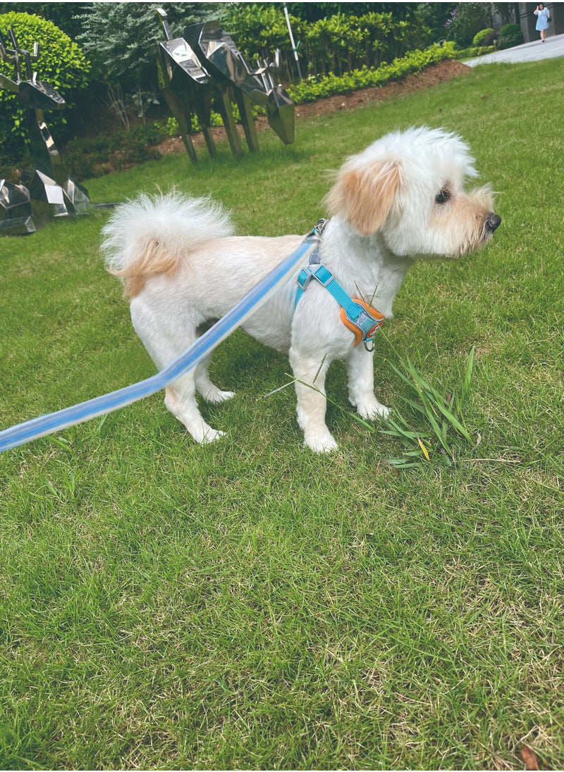 Pet harness and 1.5meter anti-slip leash set, Reflective and no choke, Light blue - pzsku/Z02B745F56F8B7001EED0Z/45/_/1708155842/9a843b3f-0104-4ad0-90d9-26d109fac0d1