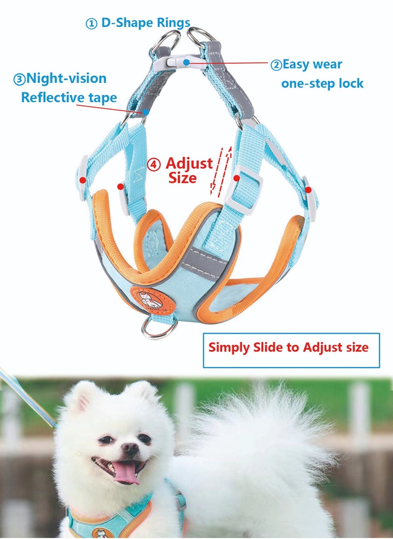 Pet harness and 1.5meter anti-slip leash set, Reflective and no choke, Light blue - pzsku/Z02B745F56F8B7001EED0Z/45/_/1708155892/15e58f6f-265b-4115-8469-ff7a8b06a5bf