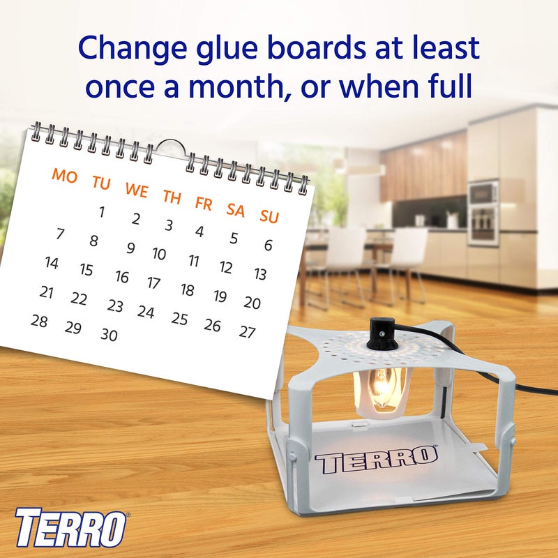 TERRO Flea Trap Refill Pack of Glue Cards for T230 Indoor Flea Trap - 3 Count (Pack of 1) - T231 - Image 5