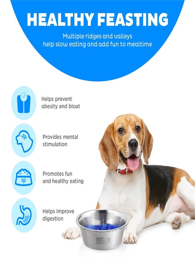 اوتورد هاوند وعاء طعام Outward Hound Fun Feeder المصنوع من الفولاذ المقاوم للصدأ للكلاب - متوسط الحجم بسعة كوبين، تغذية بطيئة، متاهة ألغاز قابلة للإزالة، مانع للانزلاق، يناسب منصات التغذية المرتفعة - Image 4