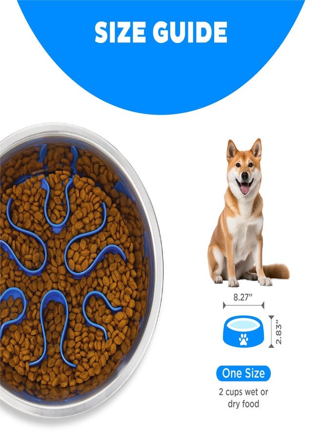 اوتورد هاوند وعاء طعام Outward Hound Fun Feeder المصنوع من الفولاذ المقاوم للصدأ للكلاب - متوسط الحجم بسعة كوبين، تغذية بطيئة، متاهة ألغاز قابلة للإزالة، مانع للانزلاق، يناسب منصات التغذية المرتفعة - Image 5