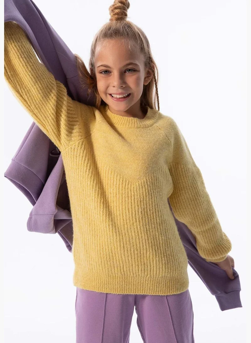 DeFacto Long Sleeve Rib Knit Crew Neck Sweater
