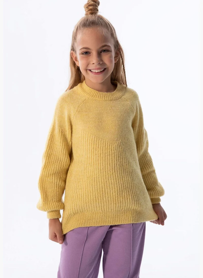 DeFacto Long Sleeve Rib Knit Crew Neck Sweater