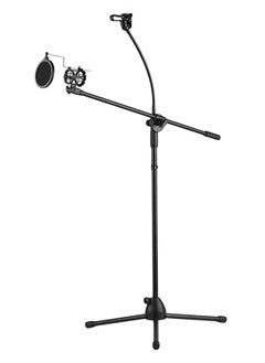 2-in-1 Floor Phone and Microphone Stand