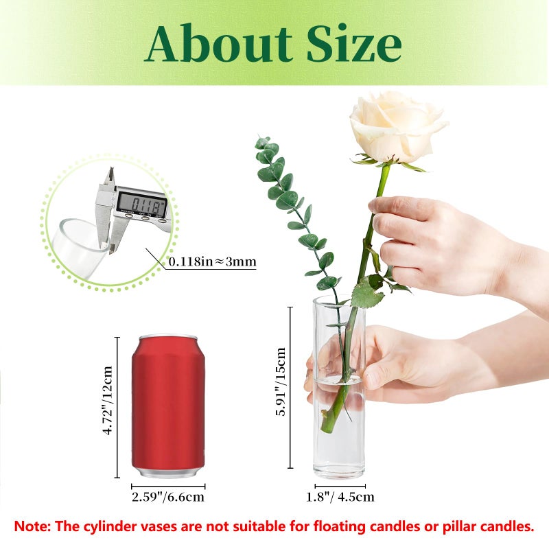 Hewory Cylinder Glass Bud Vases: Set of 12 Small Clear Skinny Single Flower Vase for Centerpieces - Minimalist Bulk Vases for Wedding Birthday Bridal Shower Party Events Table Decor, 5.91"(H)Ã—1.8"(D) - Image 2