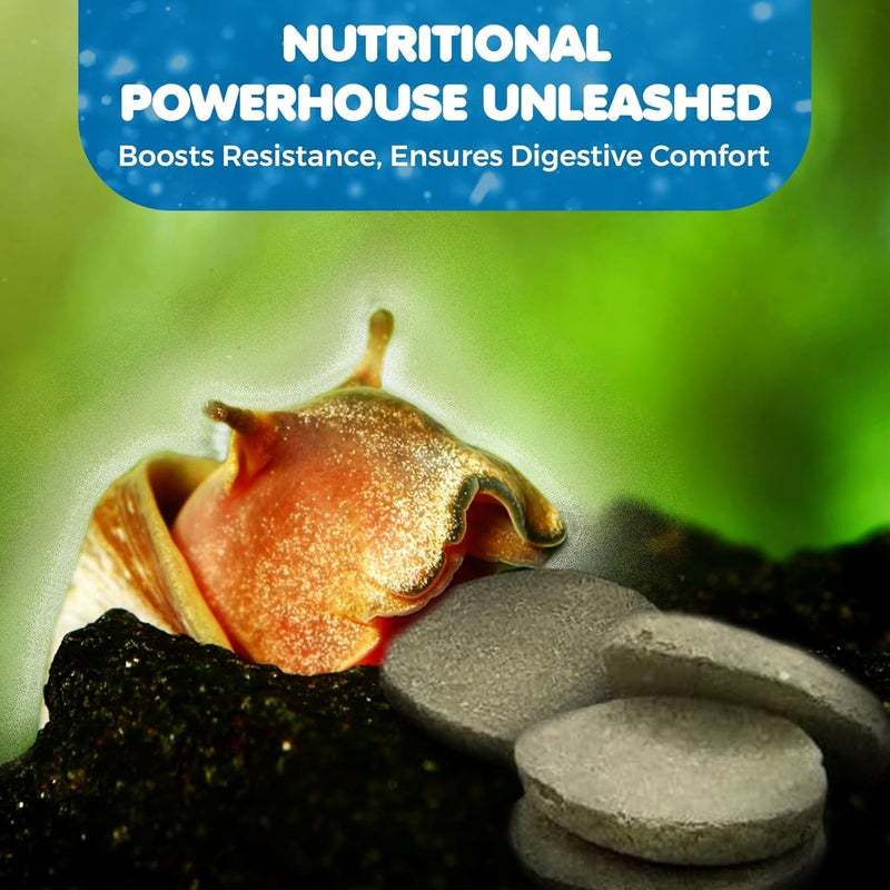 SunGrow Juvenile Shrimp Food, Essential for Shrimp And Feeders from Bottom - Image 4