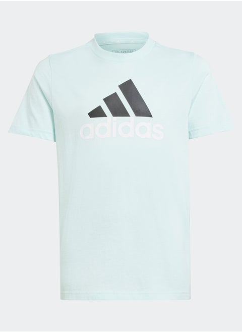 Essentials Two-Color Big Logo Cotton T-Shirt