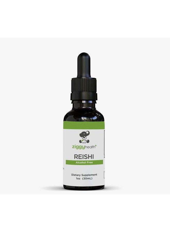 Ziggy Baby - Reishi Mushroom Extract Liquid Tincture Supplement For Immunity Defense & Brain Support Support Healthy Liver Function Energy Booster Reduce Inflammation & Sleep Better 1Oz By Ziggy Health - Image 1